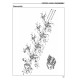 Caterpillar EC15K, EC18K, EC18K L, EC20K, EC25K, EC25KE, EC25KL, EC30K and EC30KL Electric Forklift Truck Service Manual