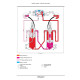 New Holland B110C, B95C and B95CTC Tier 4B Final Backhoe Loaders Service Manual (47830959)